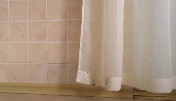Best Water Damage & Mold Remediation  in Kilauea, HI