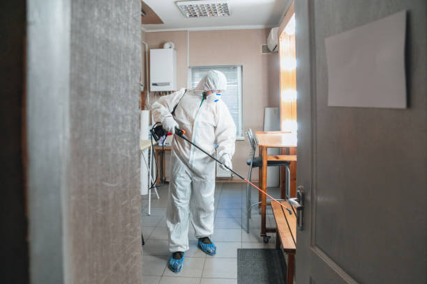 Best HVAC Mold Inspection and Cleaning  in Kilauea, HI