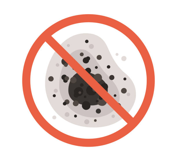 Best Environmental Consulting for Mold Prevention  in Kilauea, HI