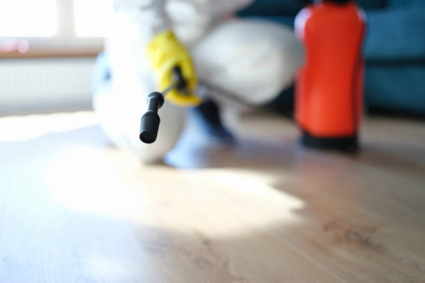 Best Indoor Air Quality Assessment  in Kilauea, HI