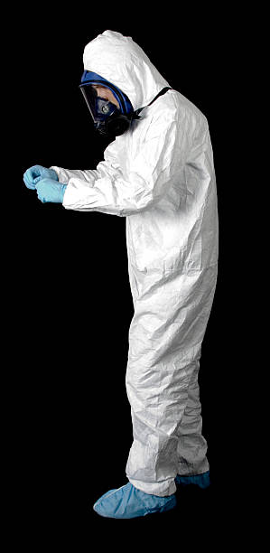 Trusted Kilauea, HI Mold Removal Experts